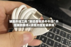 辅助开挂工具“新迅奇麻将牛牛挂”开挂辅助脚本+详细开挂安装教程