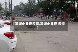 【藁城小果庄疫情,藁城小果庄 疫情】