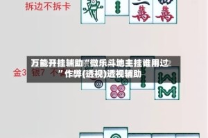 万能开挂辅助“微乐斗地主挂谁用过”作弊(透视)透视辅助