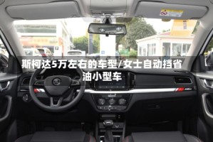 斯柯达5万左右的车型/女士自动挡省油小型车