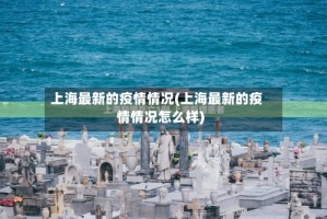 上海最新的疫情情况(上海最新的疫情情况怎么样)