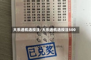 大乐透机选投注/大乐透机选投注500