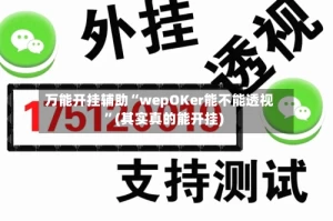 万能开挂辅助“wepOKer能不能透视”(其实真的能开挂)