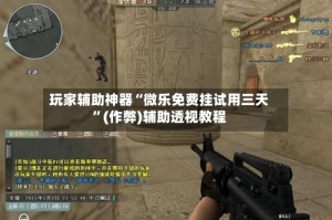 玩家辅助神器“微乐免费挂试用三天”(作弊)辅助透视教程