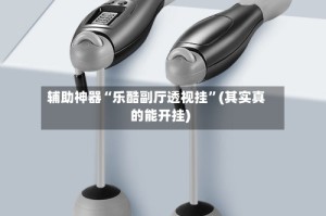 辅助神器“乐酷副厅透视挂”(其实真的能开挂)