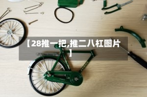 【28推一把,推二八杠图片】