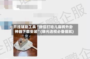 开挂辅助工具“微信打哈儿麻将外卦神器下载安装”(曝光透视必备猫腻)