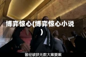 博弈惊心(博弈惊心小说)