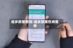 返乡政策查询/返乡政策在线查询