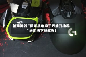辅助神器“微乐捉老麻子万能开挂器”通用版下载教程！