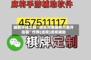 辅助开挂工具“微乐河南麻将万能开挂器”作弊(透视)透视辅助