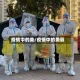 疫情中的美/疫情中的美丽