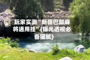 玩家实测“新疆巴郎麻将通用挂”(曝光透视必备猫腻)