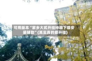 可用版本“家乡大贰开挂神器下载安装辅助”(其实真的能开挂)