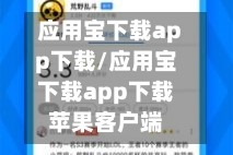 应用宝下载app下载/应用宝下载app下载苹果客户端