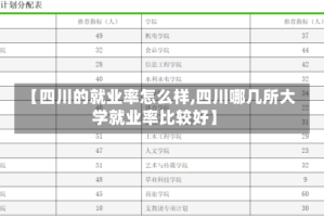 【四川的就业率怎么样,四川哪几所大学就业率比较好】