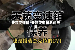 天籁变速箱/天籁变速箱总成费用