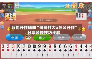 万能开挂辅助“哥哥打大a怎么开挂”分享装挂技巧步骤