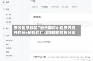 安装程序教程“微乐麻将小程序万能开挂器+透视挂!”详细辅助教程分享