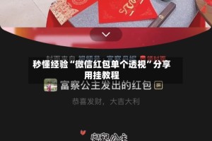 秒懂经验“微信红包单个透视”分享用挂教程