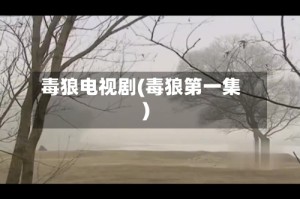 毒狼电视剧(毒狼第一集)