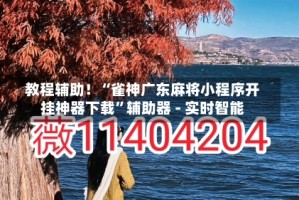 教程辅助！“雀神广东麻将小程序开挂神器下载”辅助器 - 实时智能