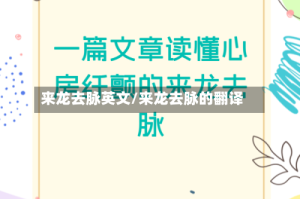 来龙去脉英文/来龙去脉的翻译