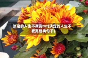 淡定的人生不寂寞txt(淡定的人生不寂寞经典句子)