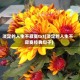 淡定的人生不寂寞txt(淡定的人生不寂寞经典句子)