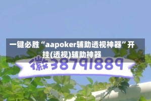 一键必胜“aapoker辅助透视神器”开挂(透视)辅助神器