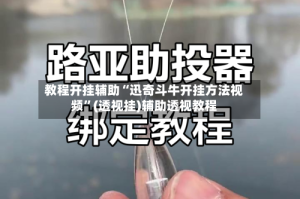 教程开挂辅助“迅奇斗牛开挂方法视频”(透视挂)辅助透视教程