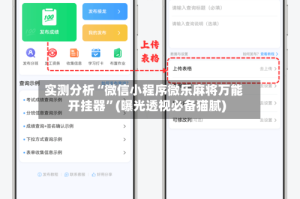 实测分析“微信小程序微乐麻将万能开挂器”(曝光透视必备猫腻)