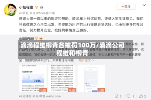 滴滴程维柳青各被罚100万/滴滴公司程维和柳青