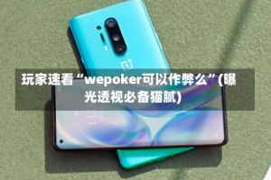 玩家速看“wepoker可以作弊么”(曝光透视必备猫腻)