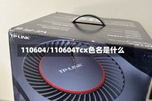 110604/110604Tcx色名是什么
