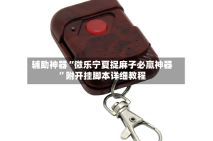 辅助神器“微乐宁夏捉麻子必赢神器”附开挂脚本详细教程