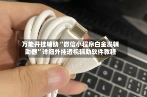 万能开挂辅助“微信小程序白金岛辅助器”详细外挂透视辅助软件教程