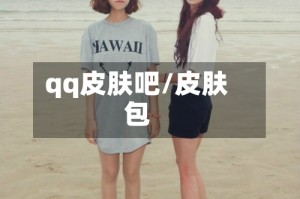 qq皮肤吧/皮肤包
