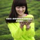 桃源女人香免费阅读(桃源香医全文免费阅读)