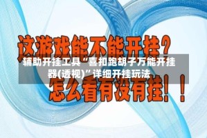 辅助开挂工具“喜扣跑胡子万能开挂器(透视)”详细开挂玩法