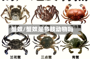 蟹奴/蟹奴是节肢动物吗
