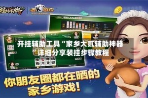 开挂辅助工具“家乡大贰辅助神器”详细分享装挂步骤教程