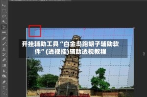 开挂辅助工具“白金岛跑胡子辅助软件”(透视挂)辅助透视教程