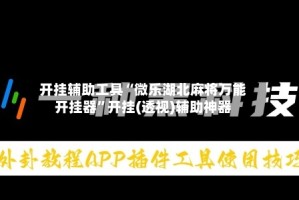 开挂辅助工具“微乐湖北麻将万能开挂器”开挂(透视)辅助神器