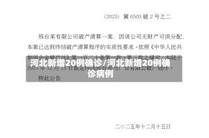 河北新增20例确诊/河北新增20例确诊病例