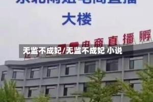 无监不成妃/无监不成妃 小说