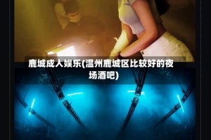 鹿城成人娱乐(温州鹿城区比较好的夜场酒吧)