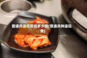 普通兵退伍后给多少钱(普通兵种退伍费)