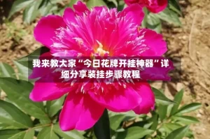 我来教大家“今日花牌开挂神器”详细分享装挂步骤教程