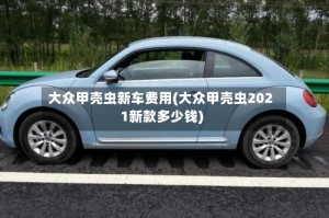 大众甲壳虫新车费用(大众甲壳虫2021新款多少钱)